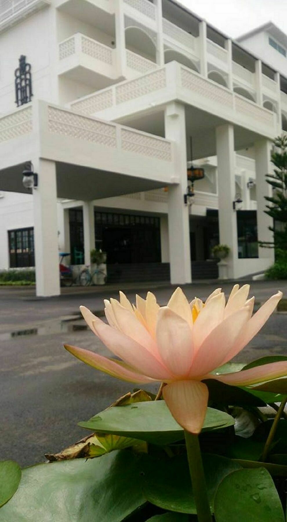 Koranaree Courtyard Boutique Hotel Nakhon Ratchasima Ngoại thất bức ảnh