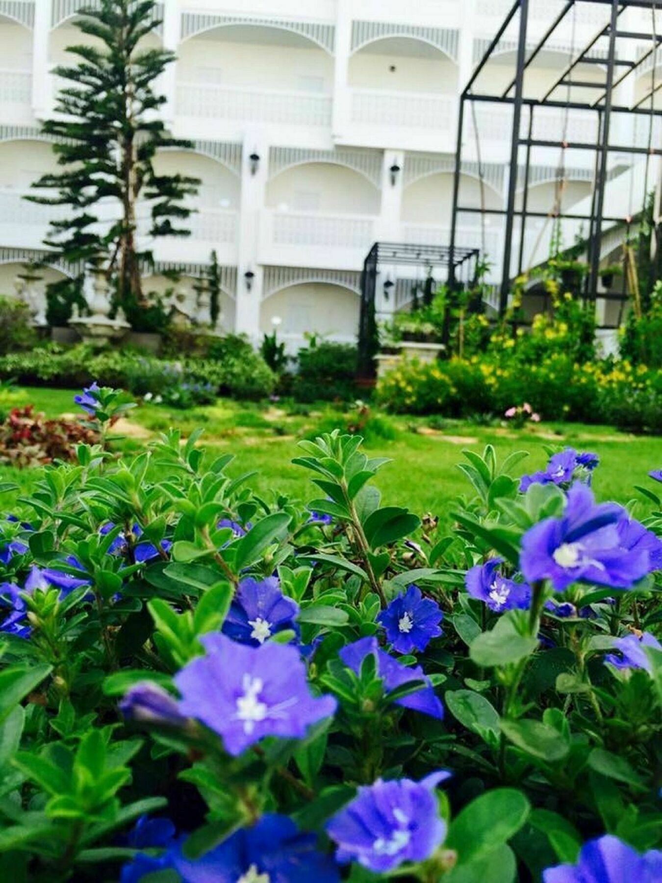 Koranaree Courtyard Boutique Hotel Nakhon Ratchasima Ngoại thất bức ảnh